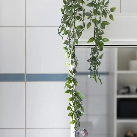 Habitación en casa particular Zwei Im Jugendstilhaus Mit Garten Berna